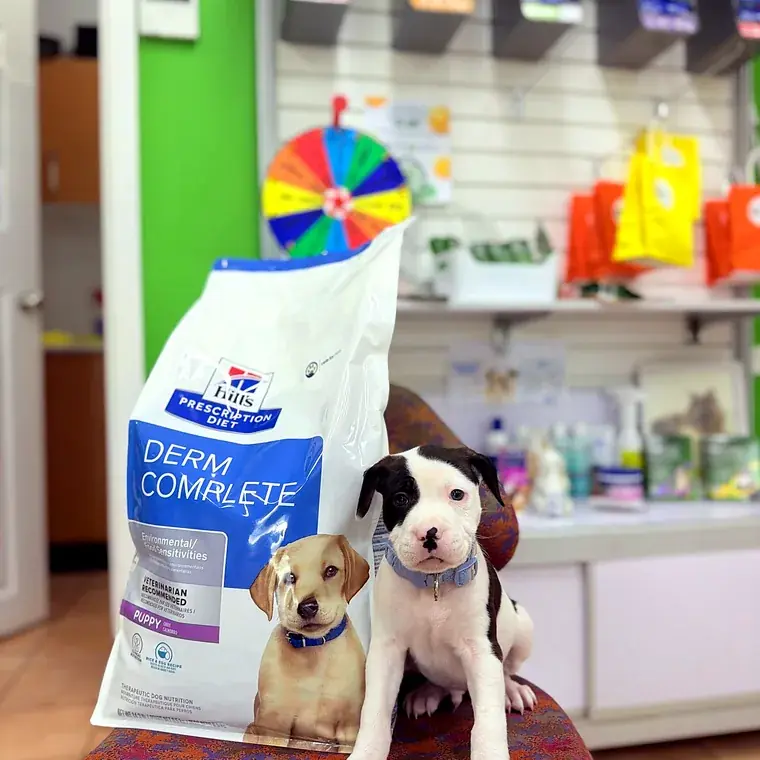 Two puppies beside a veterinary nutrition diet at a Vets for Pets clinic