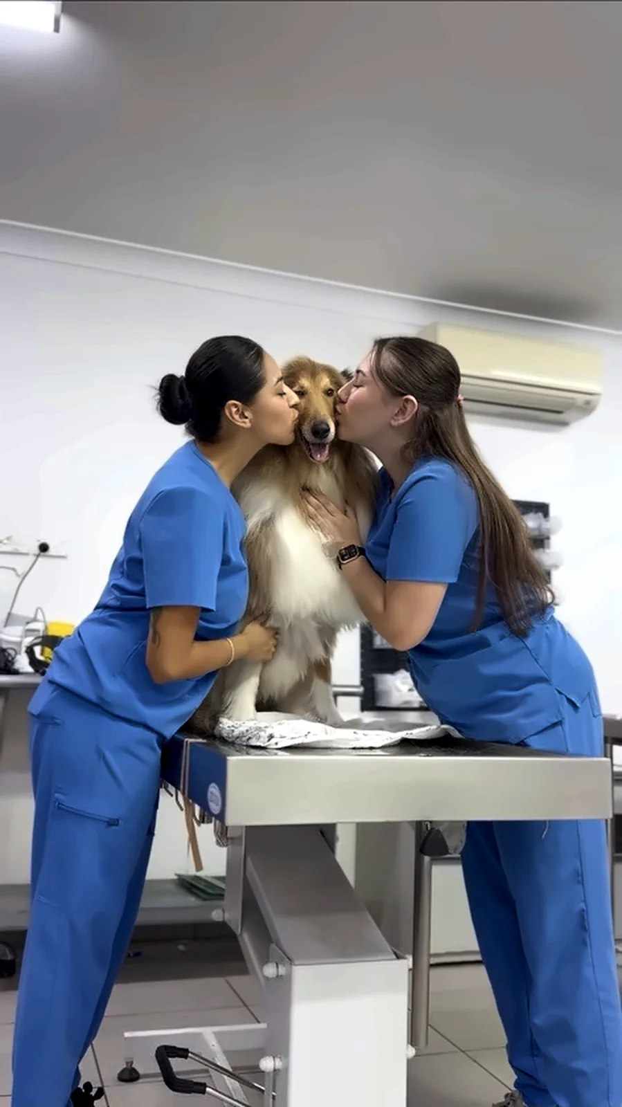 Two Vets for Pets nurses kissing a collie on the examination table